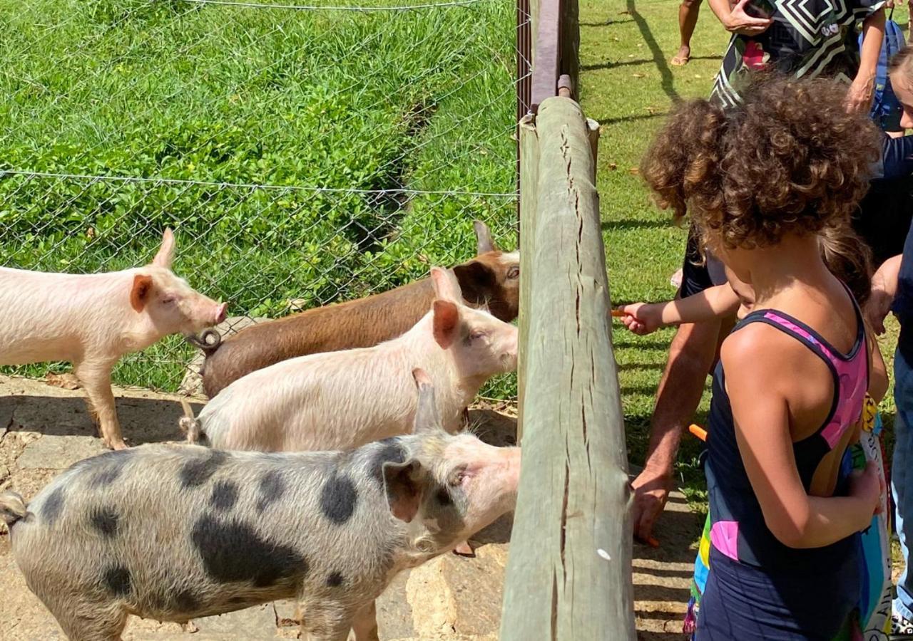 Hotel Fazenda Parador Maritacas Barra do Piraí Zewnętrze zdjęcie
